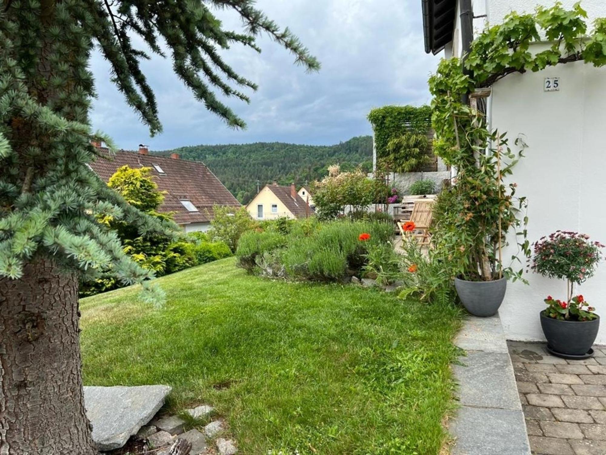 Ferienwohnung Jardin De Lavande Fridingen an der Donau エクステリア 写真